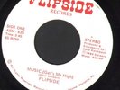 MODERN SOUL DISCO 45 FLIPSIDE MUSIC (GETS ME HIGH)  / HAVIN' A PARTY MARIETTA PA