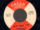 SOUL 45 Frankie and The Classicals WHAT SHALL I DO on CALLA 127 clean