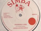 Dennis Brown / Aswad - Promised Land - Original UK 12