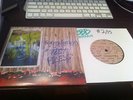 Foundation- Never Stops Raining TEST PRESS backtrack expire dead end path bane 7
