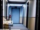 DRONES, THE, A THOUSAND MISTAKES,LP