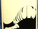 LP AINIGMA - DILUVIUM // KRAUTROCK PSYCH PROG MONSTER