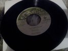 True Persuaders - Roots Man Skank - Writers Of Rastafari 7