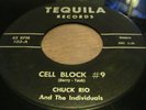 Chuck Rio and the individuals on Tequila 103 Cell Block #9 If you were the only