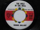 Ronnie Gallant In The Night / Hole In The Wall 7