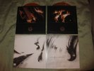 AGALLOCH Ashes Against The Grain Orange Vinyl LP Drudkh Opeth Enslaved Alcest