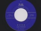 Rare White Doowop/TEEN R&R MIKE DONATO/Grp Dora/Summertime Love PM Hear BOTH Now