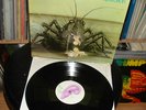 BIRTH CONTROL - OPERATION / ORIGNAL OHR / MINT / 1971 KRAUTROCK MONSTER