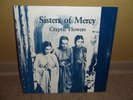 Sisters of Mercy  ( Cryptic Flowers  ) Metropol