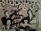 THE KALEIDOSCOPE  SIDE TRIPS Original MONO  DEMO Mint Yellow Epic DAVID LINDLEY