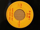 RAZORS EDGE Baby's On His Way TRUE PATRON OF ARTS Garage Psych 45 on POW 105