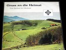 ERNST MOSCH & AVSENIK POLKA RECORD LP 