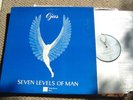 Ojas. Seven Levels of man. Rare Elect. Psych. LP.
