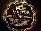 McKinney's Cotton Pickers-Victor 23020 Never Swat A Fly (1930)