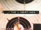 The libertines what a waster 7