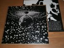 NEIL YOUNG Mirror Ball 2×LP vinyl PEARL JAM