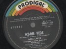 THE BEE GEES   RARE EARTH  
