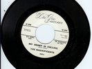 NORTHERN SOUL 45 -THE MAGNIFICENTS-
