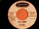 Surf 45 The Cradle What a Summer Jubilee 5549 White Label Promo MINT Copy