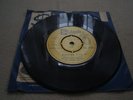Barclay James Harvest Mocking Bird - Vanessa Simmons Stateside Turkish Edit 7