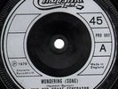 VAN DER GRAAF GENERATOR Wondering Charisma Promo PRO 002 1976 Original 45 NM