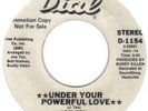 NORTHERN SOUL     JOE TEX      UNDER YOUR POWERFUL LOVE      DIAL