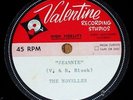 RARE Novells psych fuzz garage Valentine demo acetate 45 Jeannie/Pink Lady HEAR