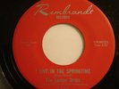 Garage Band 45 The Lemon Drops on Rembrandt Records, 