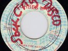 Alric Forbes as THE PROPHET - WARN THE NATION on the FORBES label  Prod YABBY ??