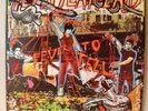 Yeah Yeah Yeahs - Fever to tell LP Picture Disk RARE