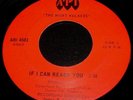 The Night Walkers 45 API If I can reach you Garage Psych