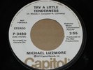 70'S SOUL - MICHAEL LIZZMORE - PROMISE YOU'LL WAIT - TRY LITTLE TENDERNESS