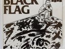 Black Flag, 
