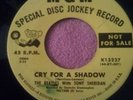 THE BEATLES RECORD (45) WHY / CRY FOR A SHADOW