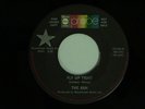 garage rock THE ASH Fly Up Tight PROBE DJ M- hear soundclip