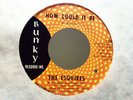 Esquires How Could It Be/Rare Northern Soul mint- Bunky