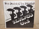 Rare Garage Rock LP The Sound Of The Reign on Wilber