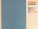 DREAM SYNDICATE Days of Wine and Roses LP NM/OOP 1982 Debut MAZZY STAR Punk LA