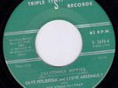 Garage PSYCH 45 Dave Holbrook LSD Drugs