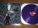 A Day To Remember Homesick /200 Purple FIRST PRESS RARE OOP New Found Glory FYS