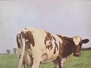 PINK FLOYD ATOM HEART MOTHER ORIG HARVEST NO EMI BOX 1970 LP RECORD SUPERB PSYCH