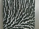 GROUPER - COVER THE WINDOWS AND THE WALLS -  ORIGINAL ROOSTRATA LTD 300