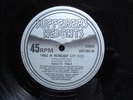 PABLO IN MOONLIGHT / PLEASE OFFICER  /  AUGUSTUS PABLO  / EARL ZERO  RARE  12 in