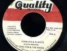 Carlton & The Shoes - Forever And Always JA orig 45 ??