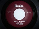 R&B ROCKER-WILLIE EGGINS-WHAT A SHAME/WOW WOW-MAMBO 102