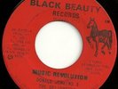 DONALD JENKINS on Black Beauty Sweet Soul Northern 45