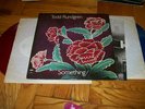TODD RUNDGREN SOMETHING ANYTHING WHITE LABEL PROMO RED BLUE VINYL LP RARE