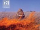 THE MACCABEES - GIVEN TO THE WILD LP VINYL NEW