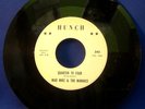 mad mike & the maniacs the hunch quarter to four hunch promo 45#345