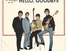 Beatles Hello Goodbye 45 7